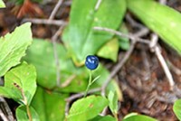 Mission & Philosophy